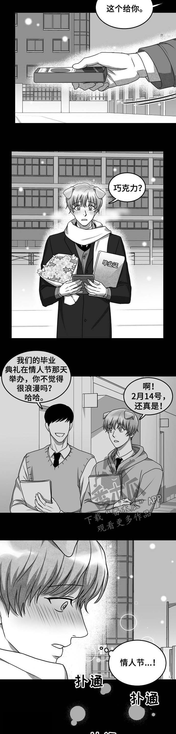 第37章：没有勇气3