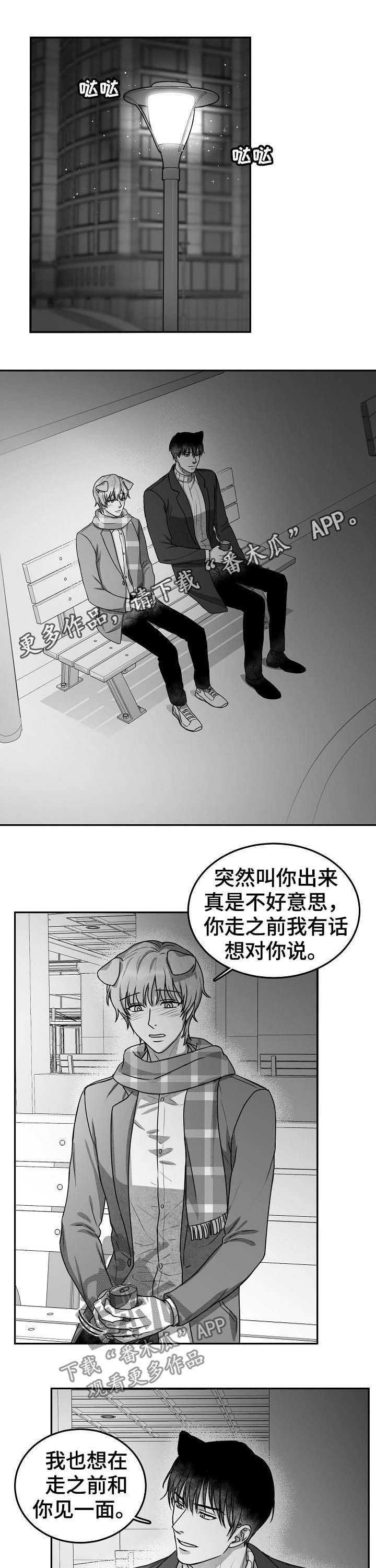 第38章：表白0