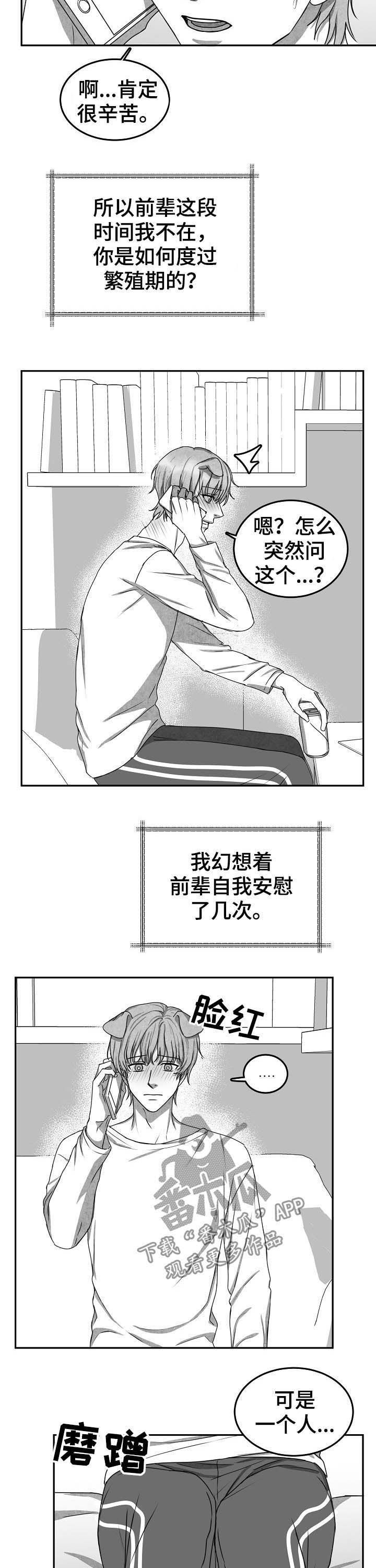 第39章：打电话5