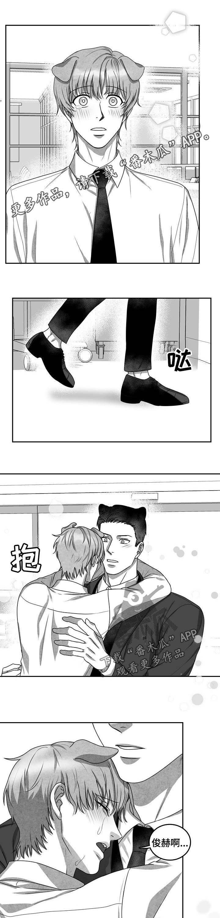 第41章：求婚（完结）0