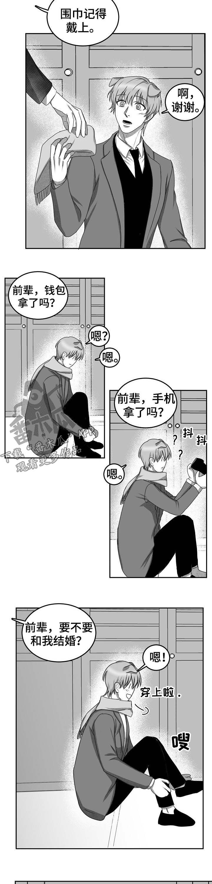 第41章：求婚（完结）7