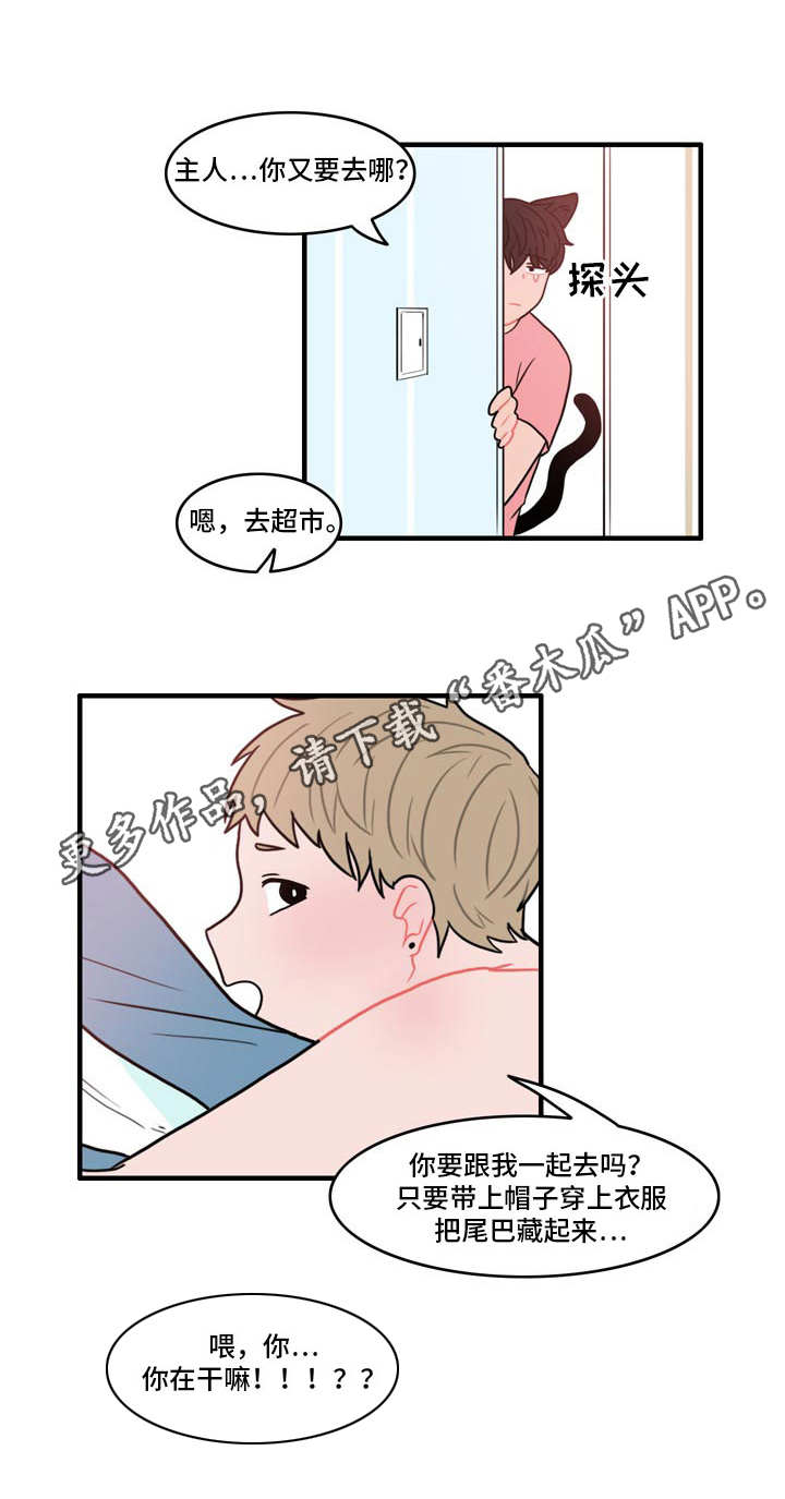 第5章：春植9