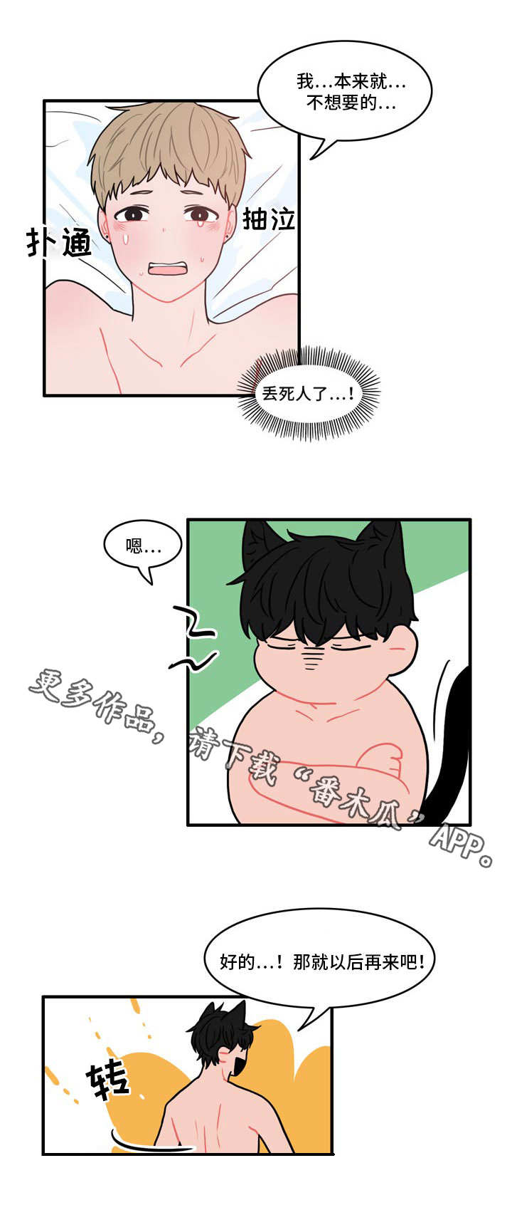 第6章：伪装2