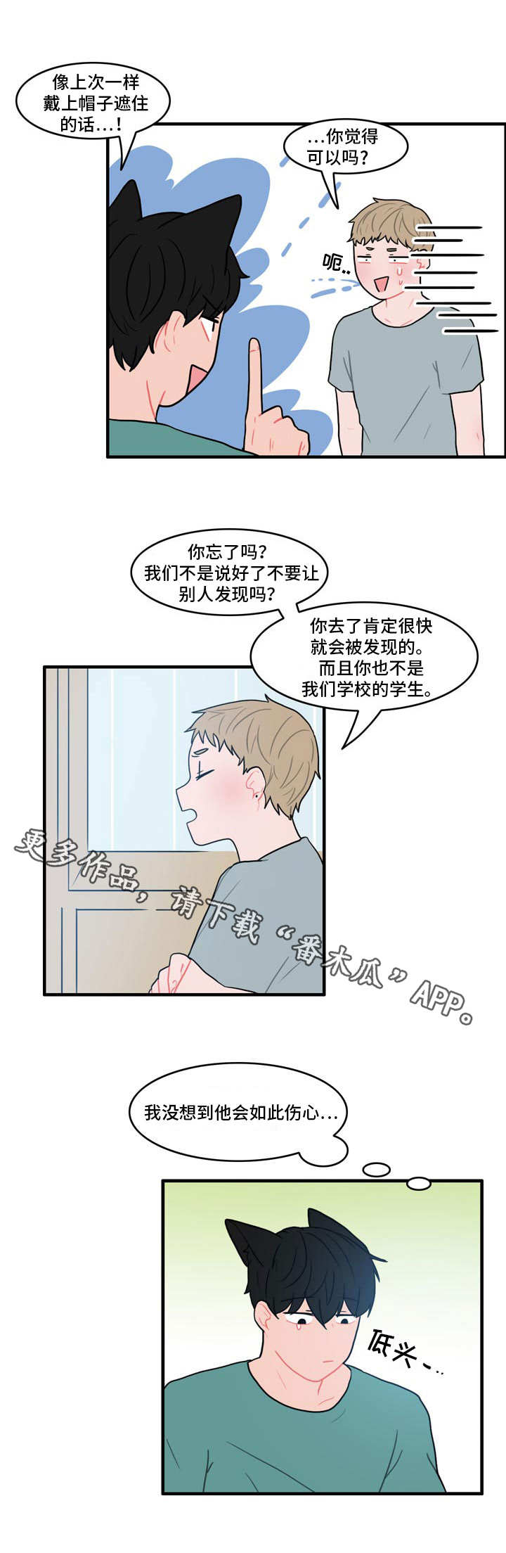 第11章：野营13