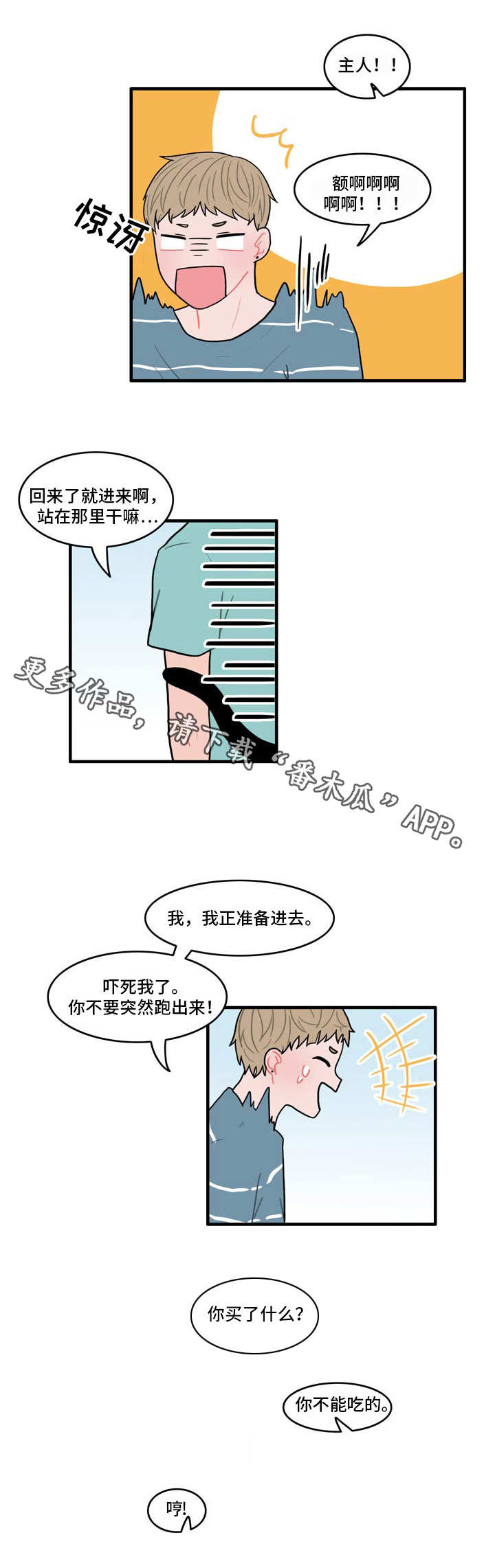 第11章：野营6