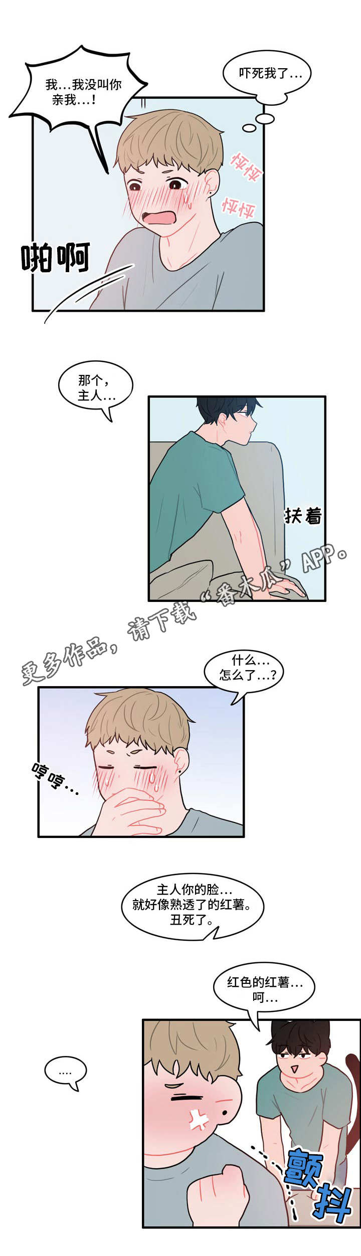 第12章：电话5