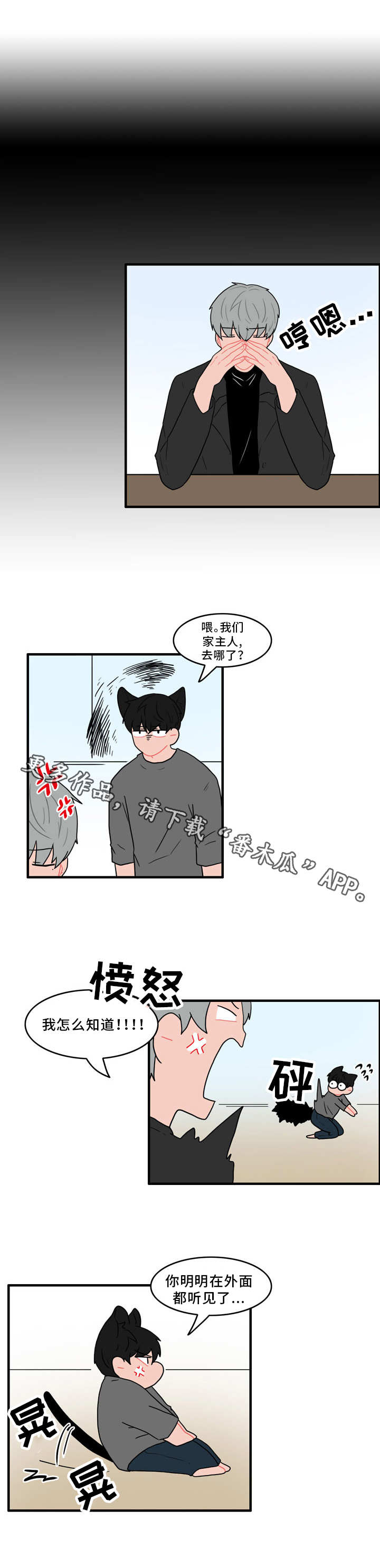第44章：协议11
