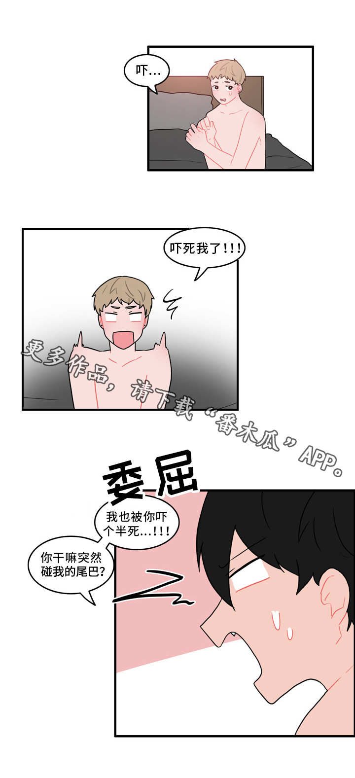 第53章：计划11