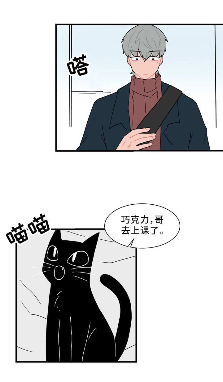 第56章：真相13
