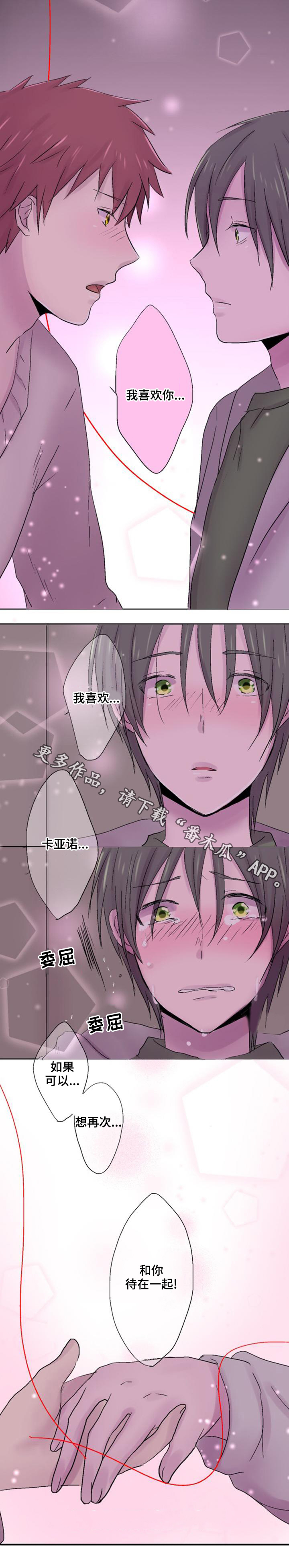 第31章：表白7