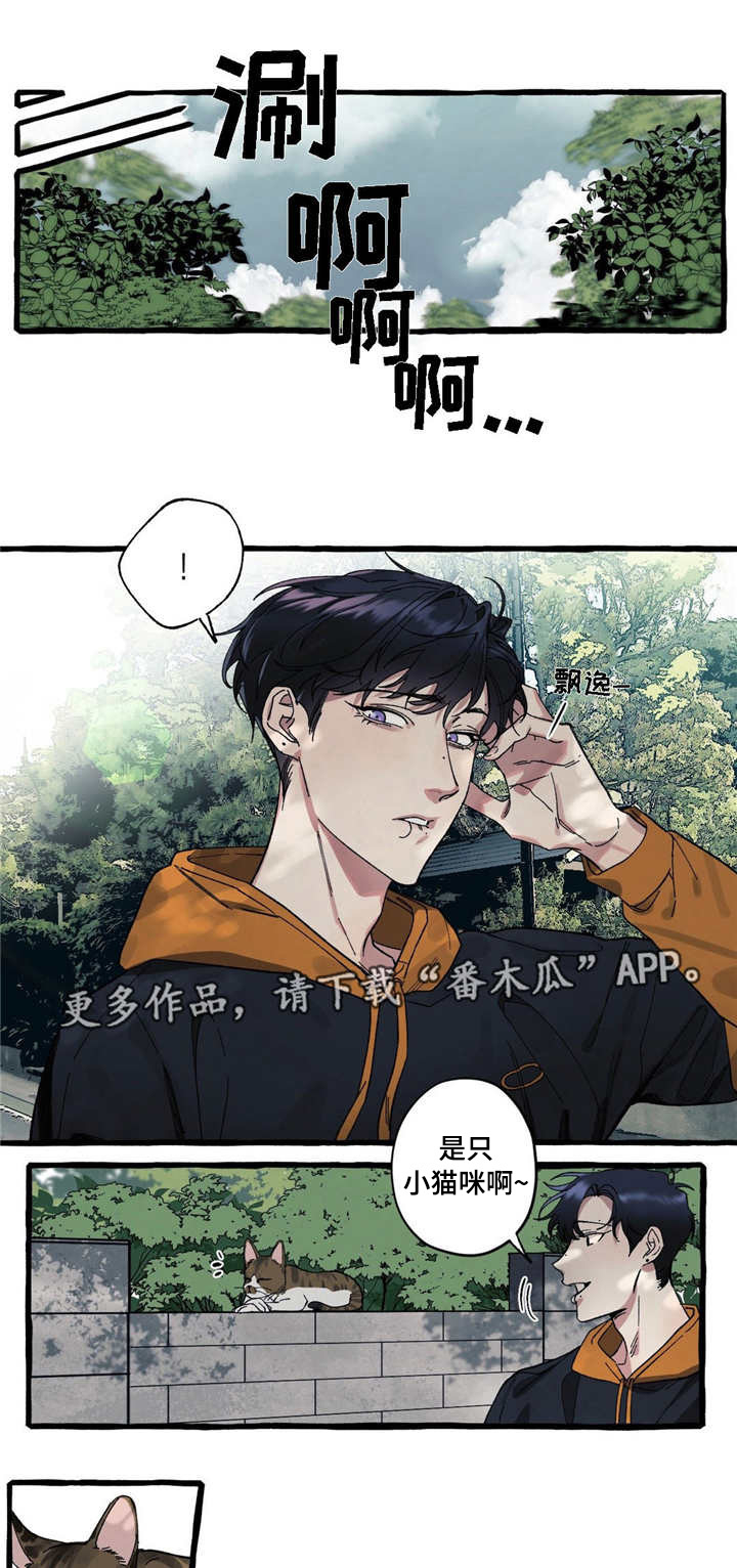 第17章：可爱6