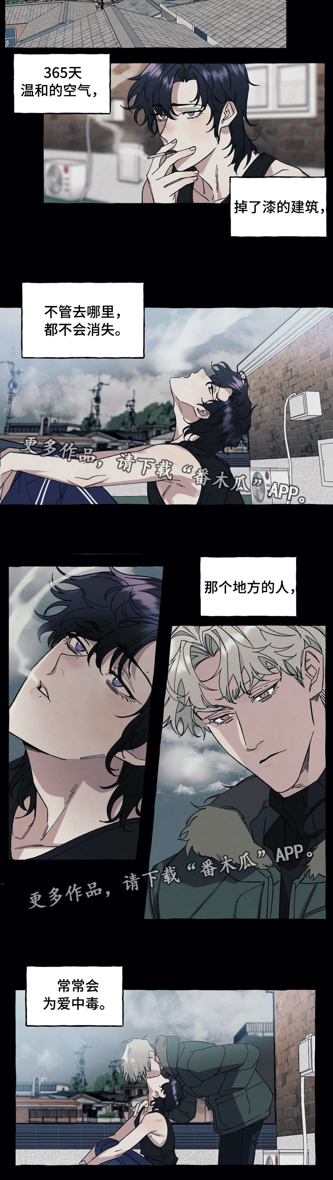 第28章：遗嘱10