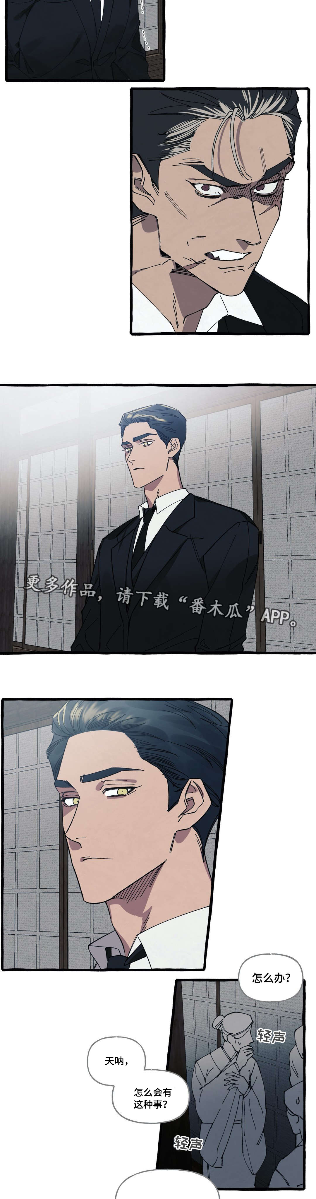 第28章：遗嘱2