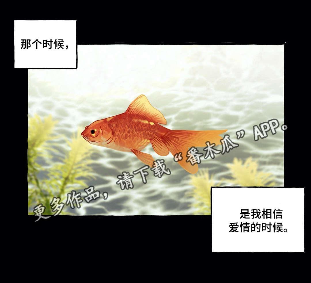 第29章：爱情0
