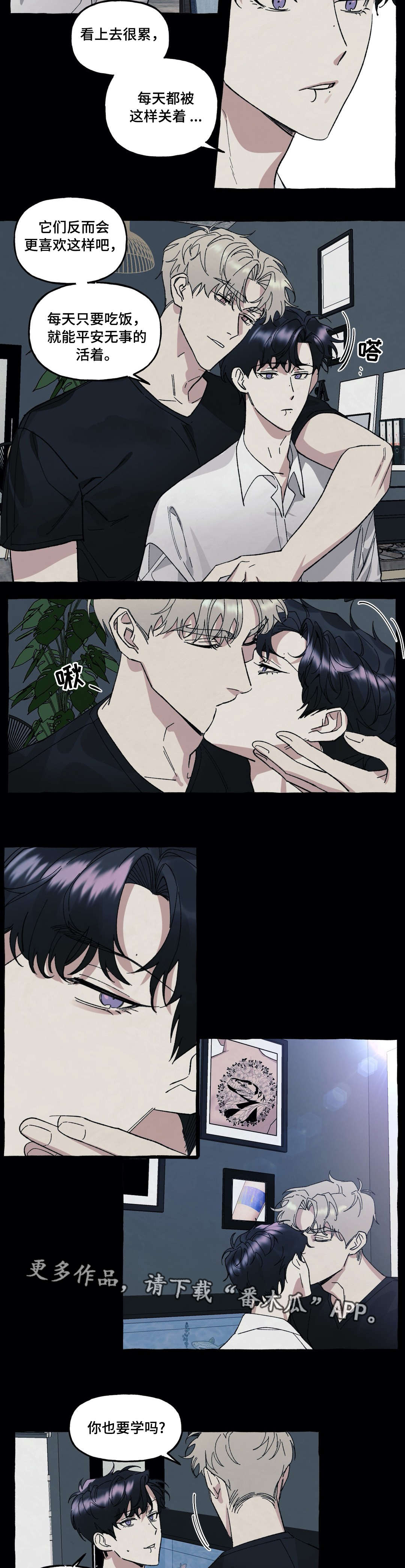 第29章：爱情5
