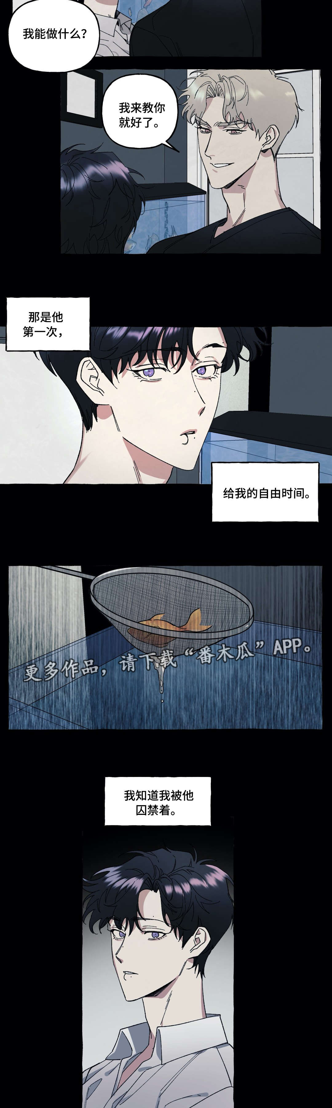 第29章：爱情6