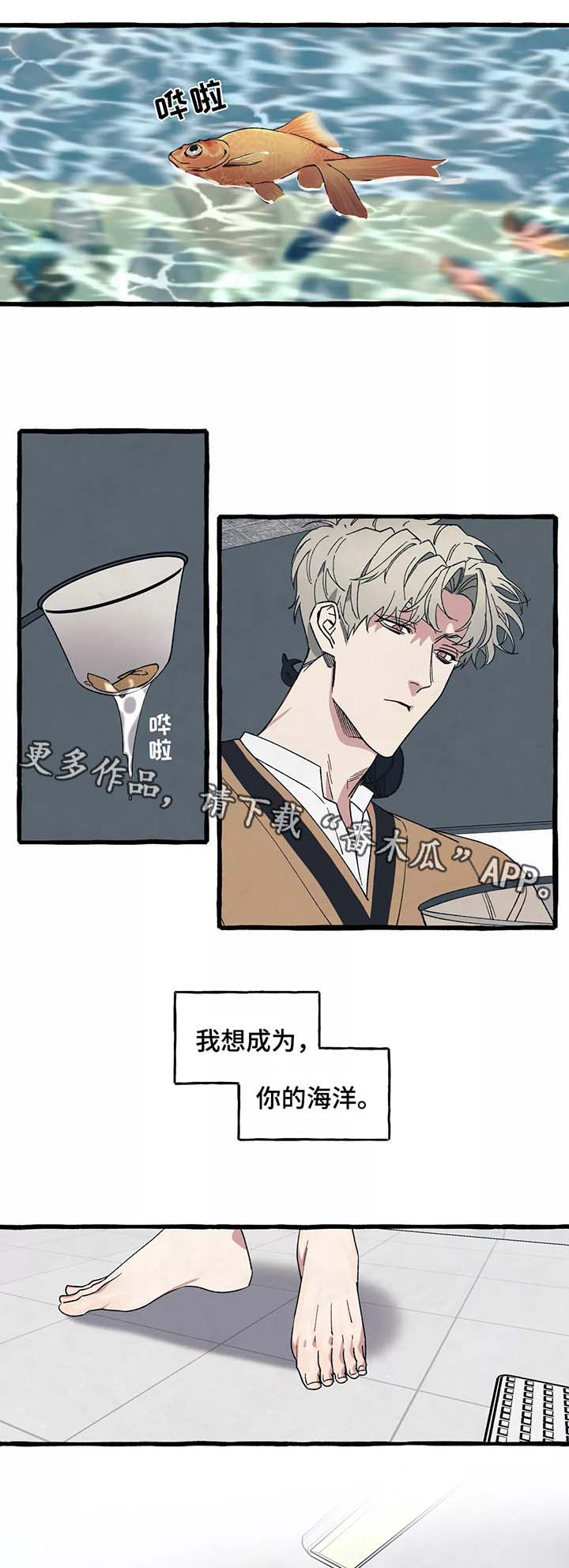 第36章：你会再次爱上我吗5