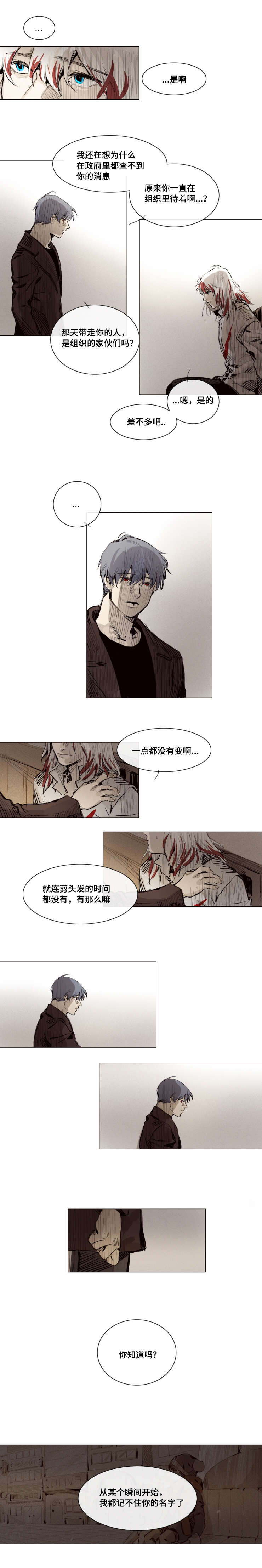 第11章：你这是在做什么0