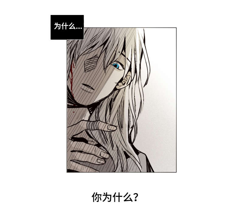第17章：登场2
