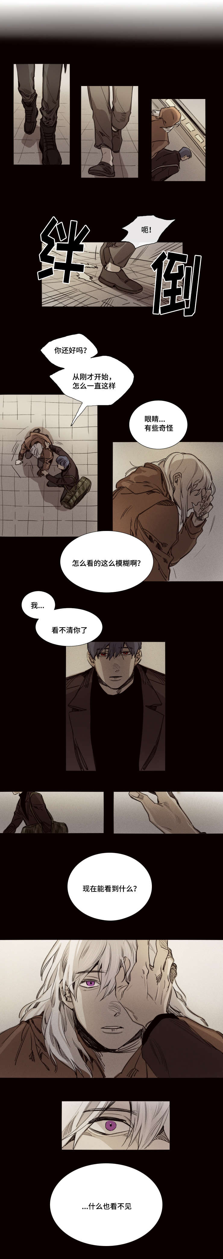 第29章：右眼失明6