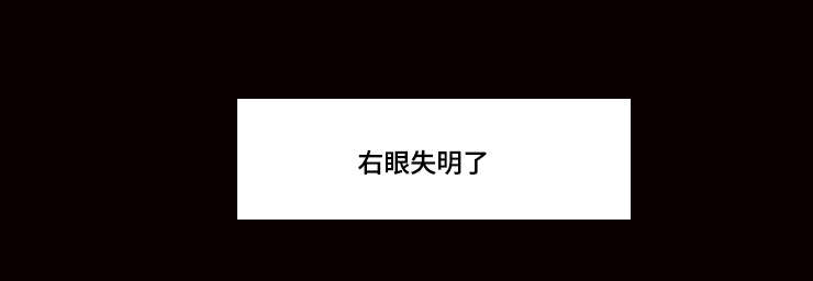第29章：右眼失明7