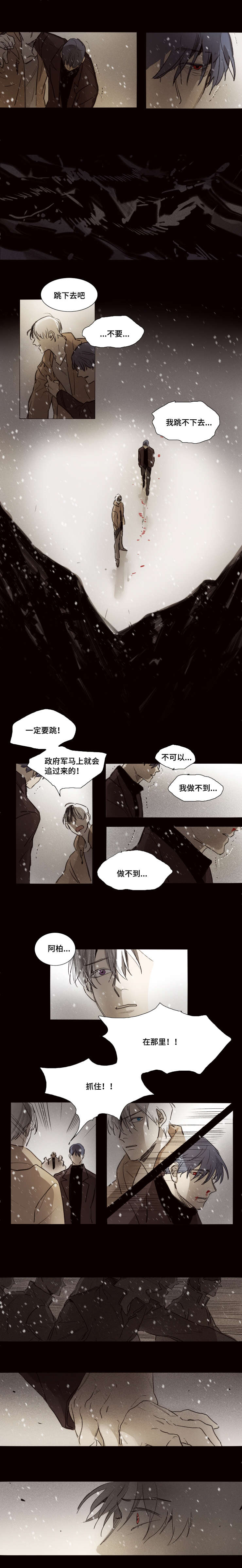 第41章：垂危5
