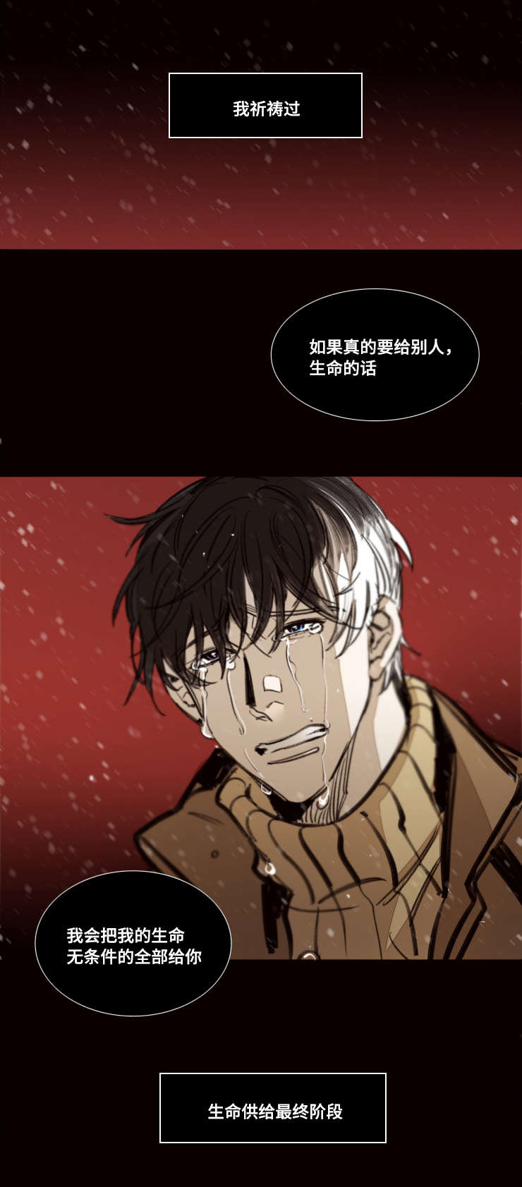 第48章：无条件奉献6