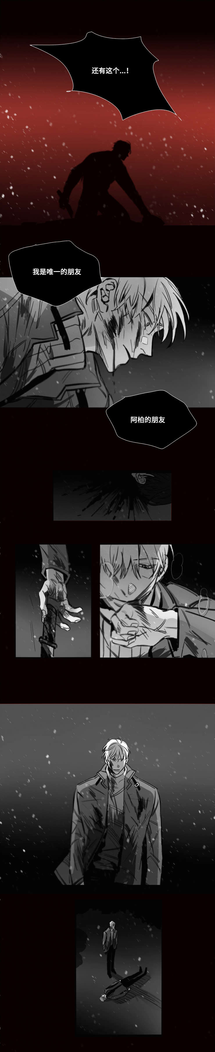 第49章：熄灭的生命之火3
