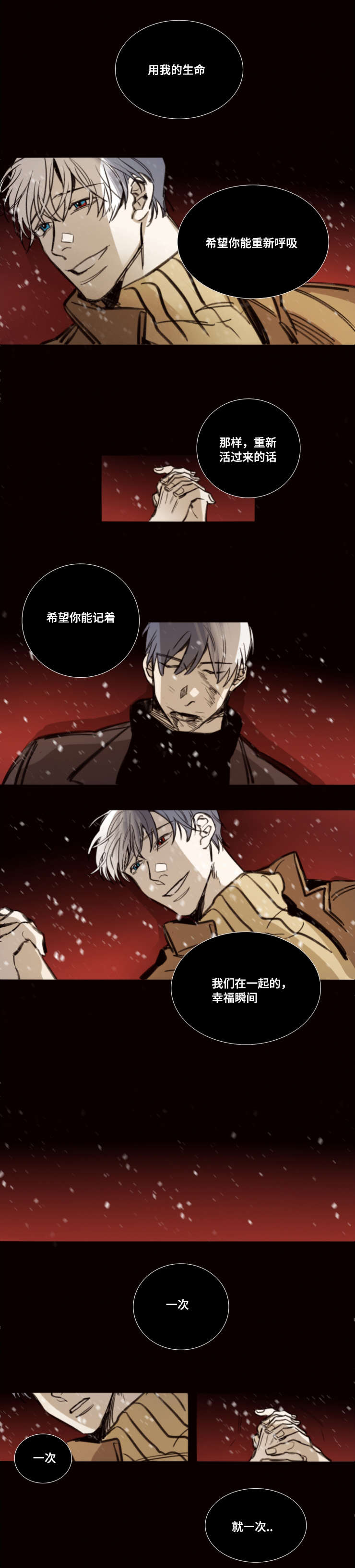 第49章：熄灭的生命之火5