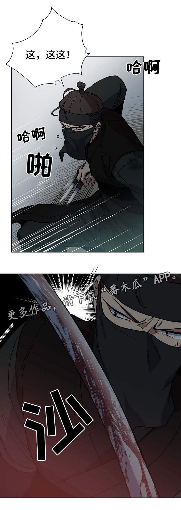 第70章：刺客13
