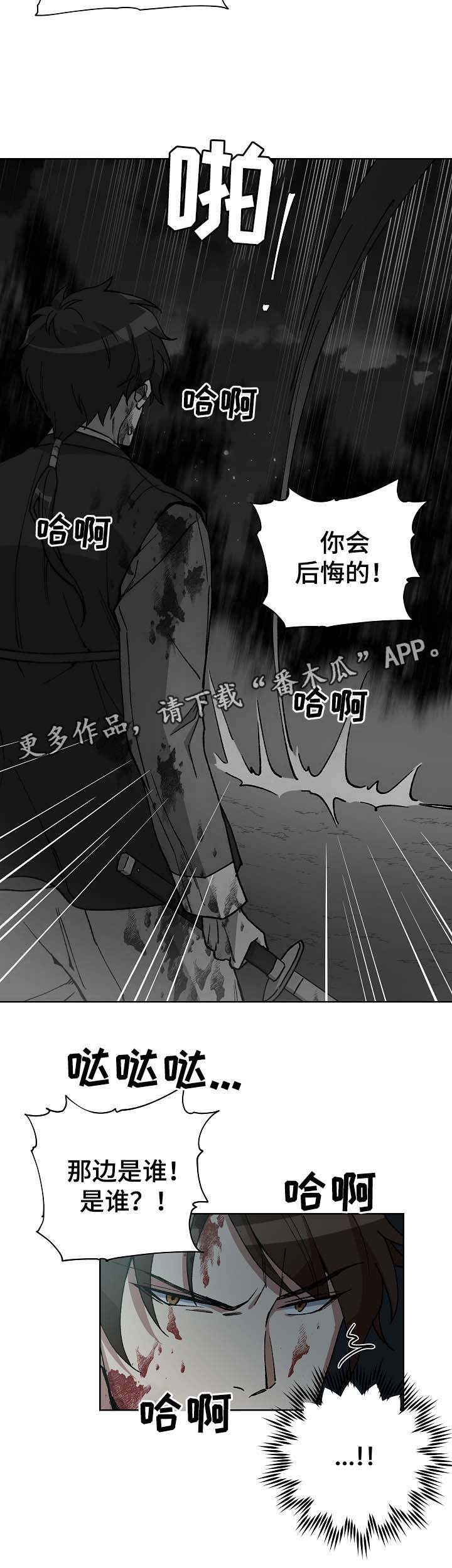 第70章：刺客17