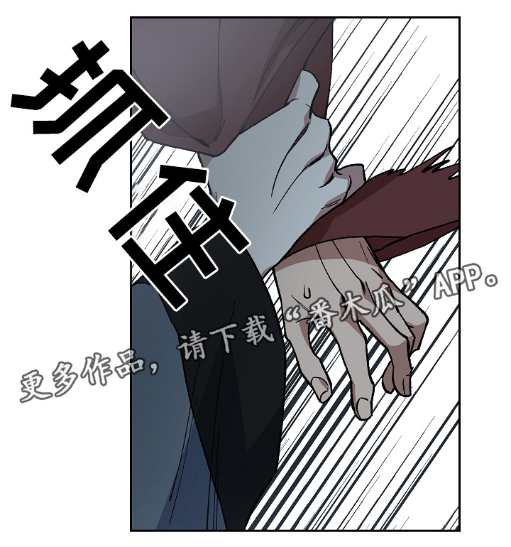 第120章：手足之情1