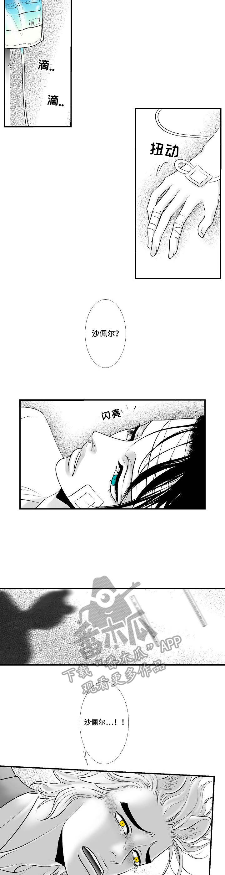 第26章：尘埃落定2