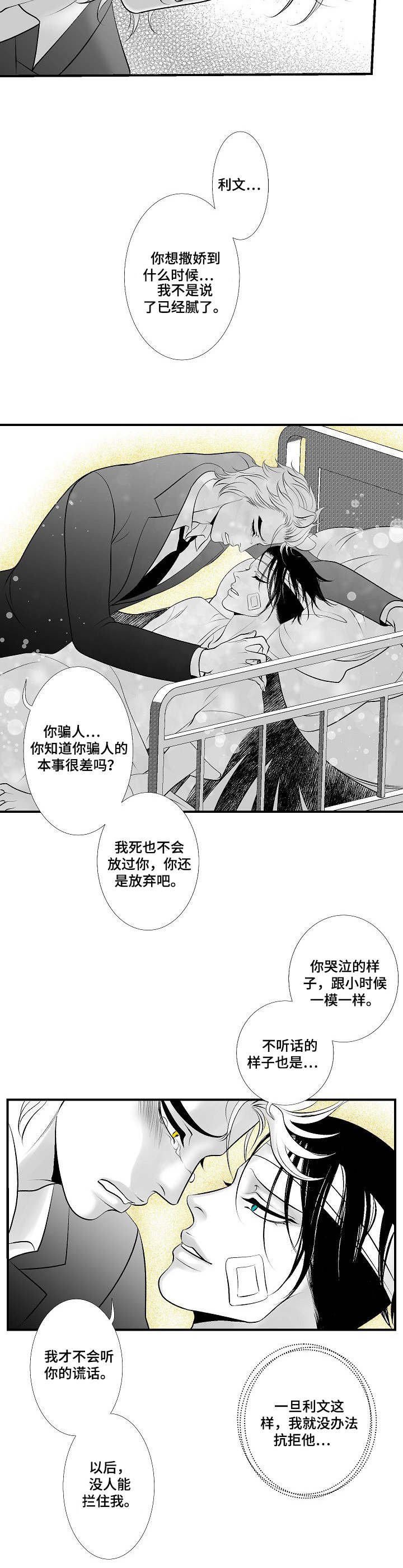 第26章：尘埃落定3