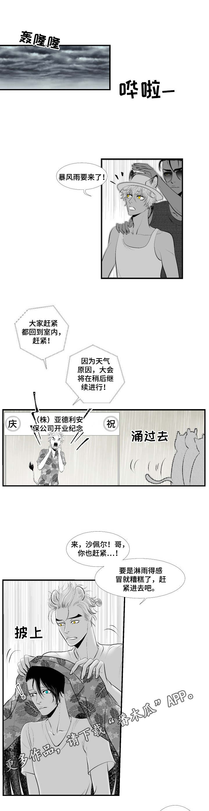第26章：尘埃落定7
