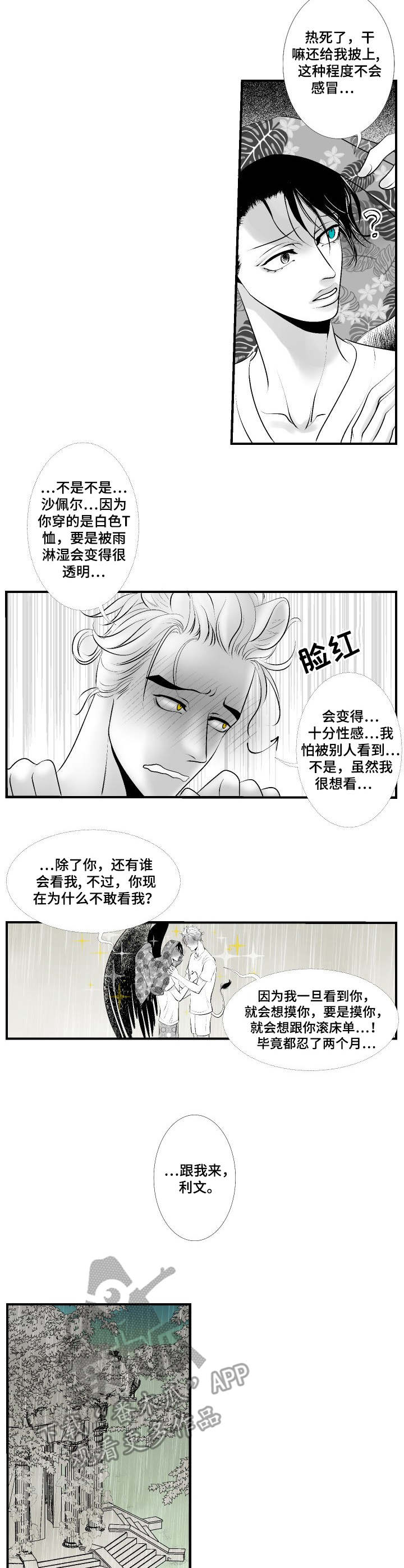 第26章：尘埃落定8