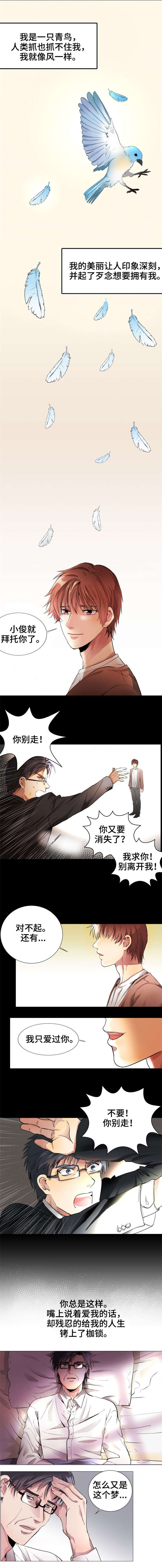 第1章：青鸟0