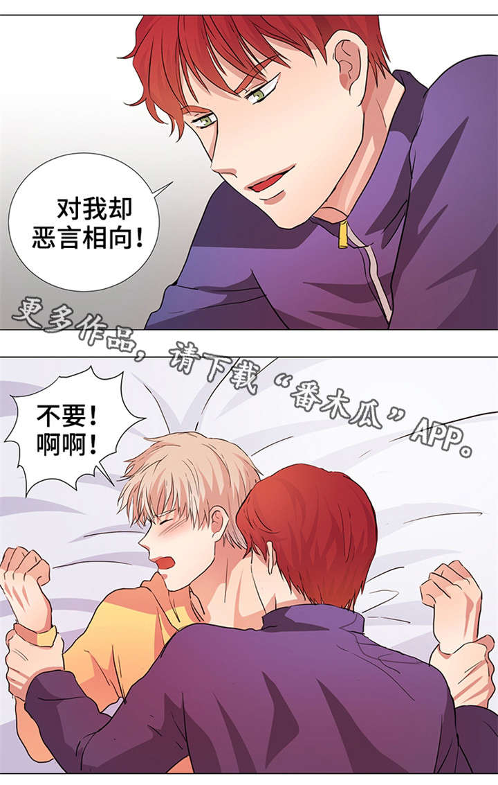 第19章：幻象4