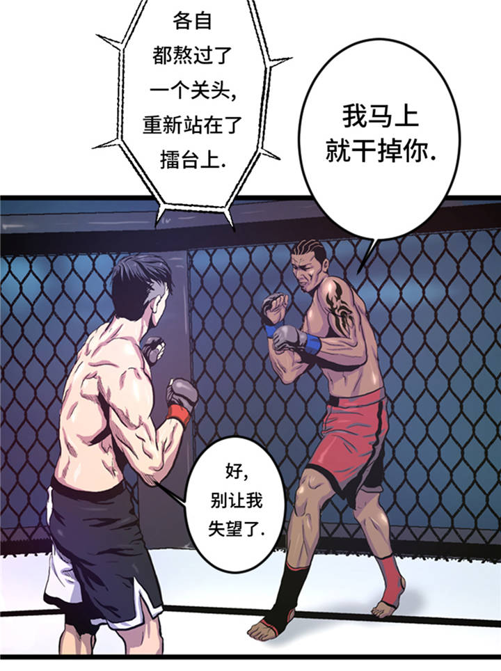 第3章： 挑衅24