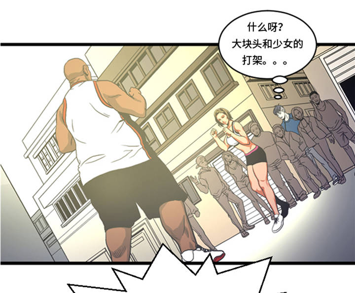 第7章：最强搭档17