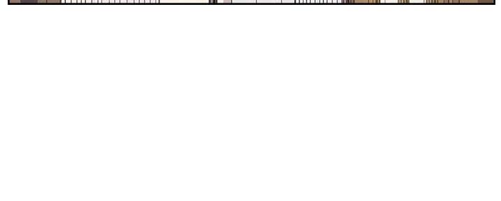 第43话41