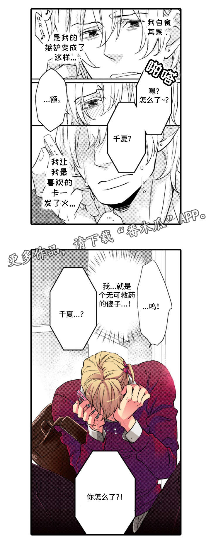 第6章：傻子3