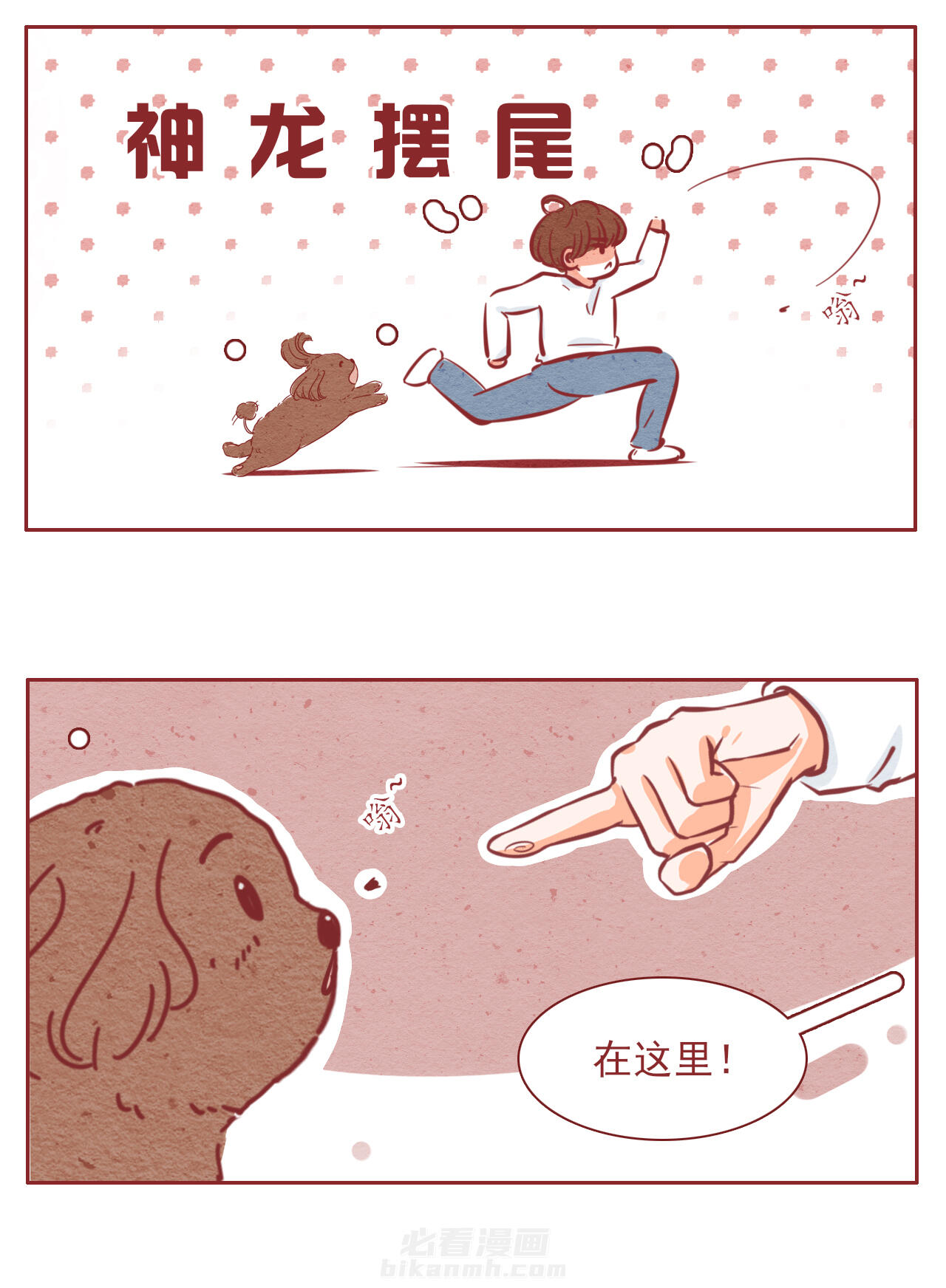 第43章：8