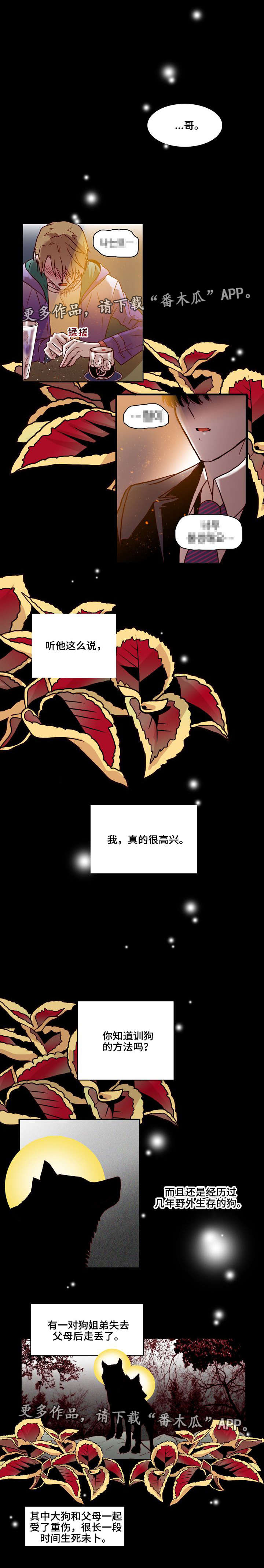 第18章：训狗0