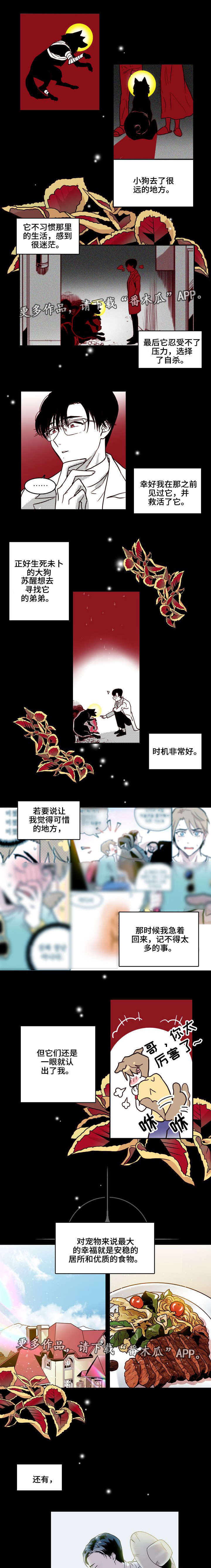 第18章：训狗1