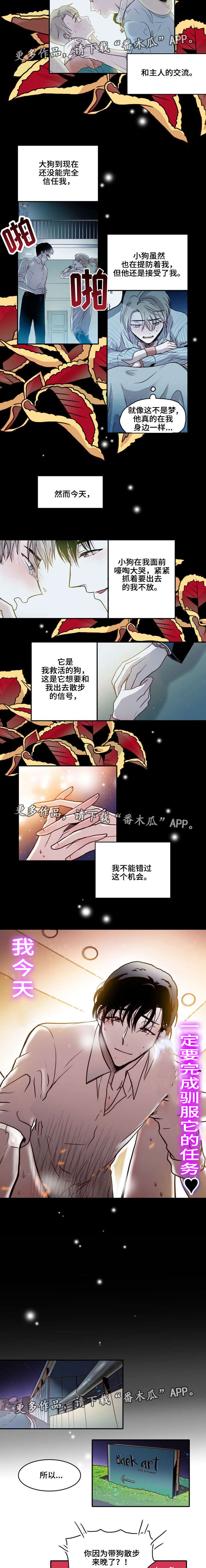 第18章：训狗2