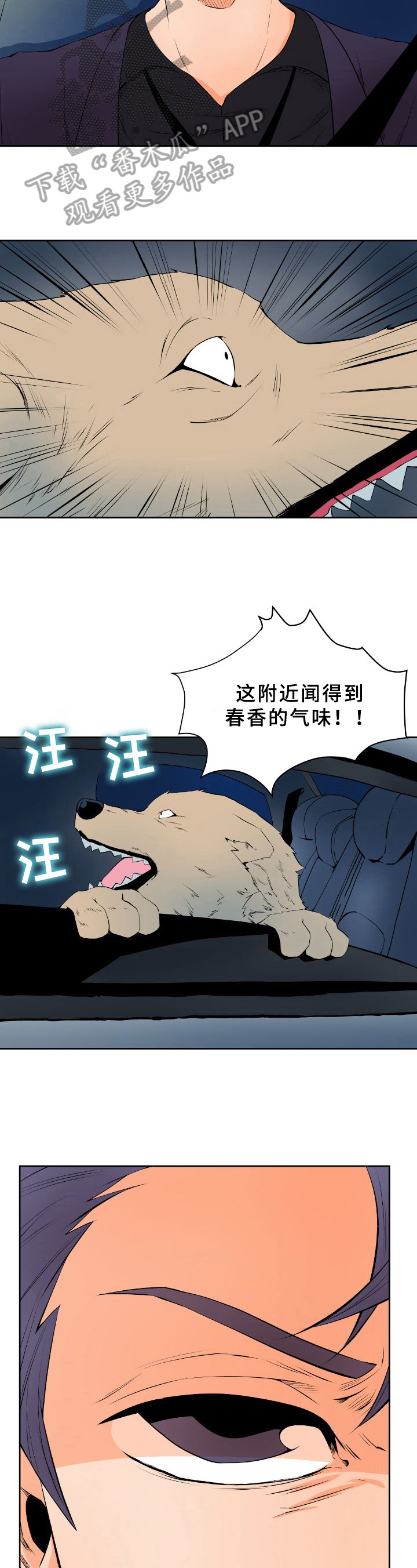 第17章：寻踪2