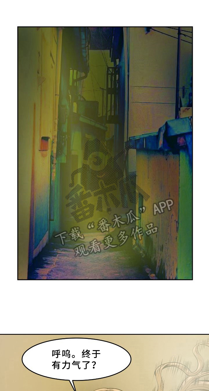 第41章：同伴0