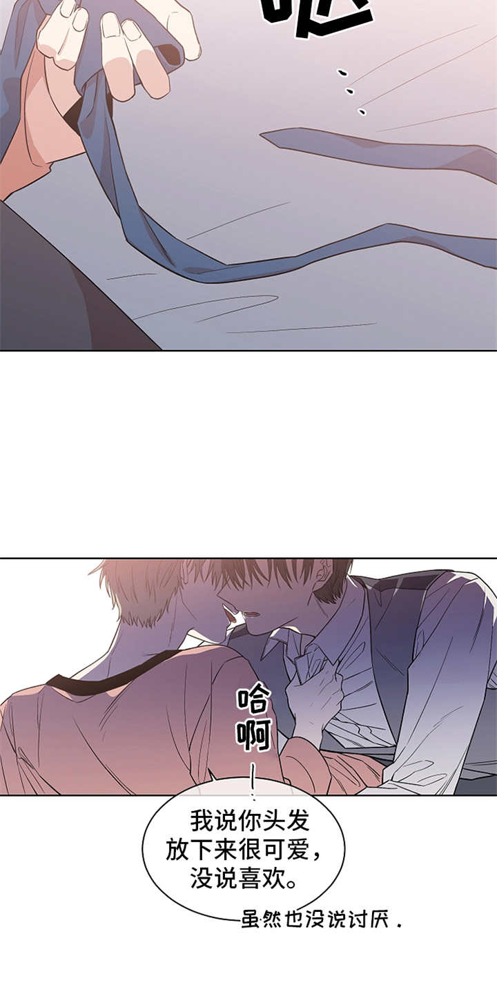 第24章：所谓好感13