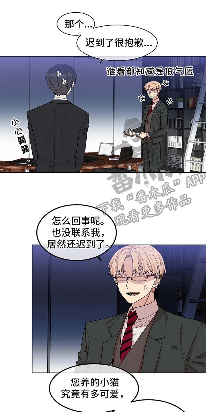 第20章：如何处置12